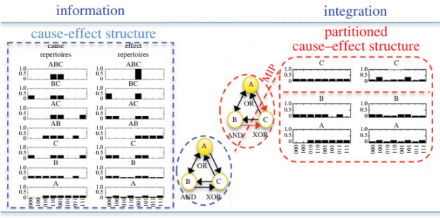 Figure 2. Consciousness is the result of integrated information, i.e., the unified cause–effect repertoires which ire intrinsically irreducible into MIPs (minimum information partitions). | Credit: Tononi & Koch (2005).