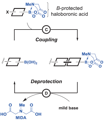 Figure 2. Building block-strategy for the synthesis of small molecules. | Credit: Burke et al. (2015)