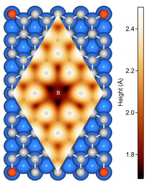 The structural model of a (1  1) B-graphene domain and superimposed a simulated scanning tunnelling microscope image (where drawn circles represent carbon atoms). | Credit: Usachov et al (2015)