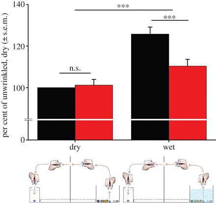 Fig2