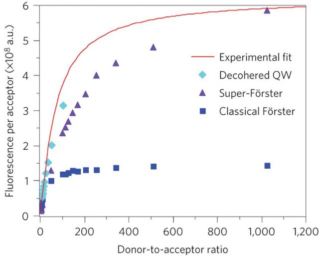 Figure 4: Experimental and theoretical Florescence values for different models.