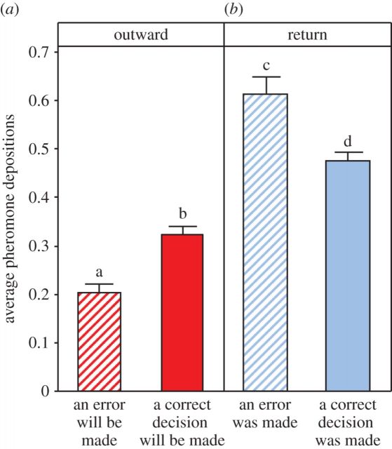 Figure 3. Pheromone deposition.