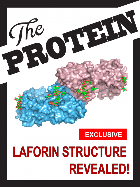 ProteinOfTheYear_Fig1