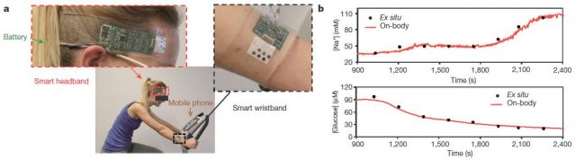 Figure 4: a) Subject wearing a ‘smart headband’ and a ‘smart wristband’ during stationary cycling. B) Comparison of ex situ calibration data of the sodium and glucose sensors from the collected sweat samples with the on-body readings of the FISA during the stationary cycling exercise. Credit: Gao et al (2016)