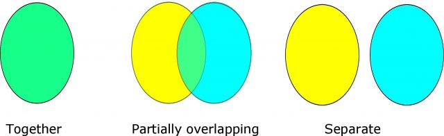 Figure 1. Theoretical representation of language in bilinguals.