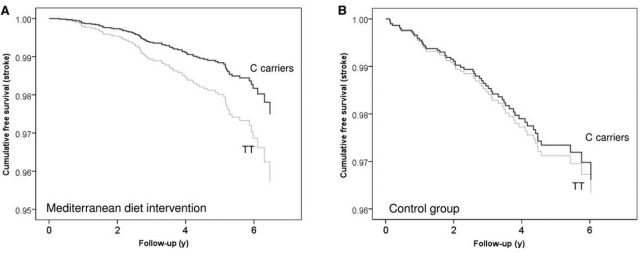 Stroke free survival throughout 6 years for people carrying (“C carriers”) or not carrying (“TT”) a protective variant in the LPL gene under Mediterranean (A) and control (B) diets. Carriers only show reduced mortality caused by stroke when following the Mediterranean diet. Modified from Corella et al (2014).