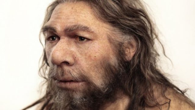 _89131646_c0263754-neanderthal_model-spl