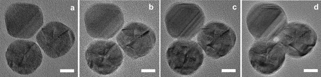 Aberration-corrected TEM images of a silver nanosphere trimer with particles converging and coalescing under the influence of the electron beam. The particles are 25 nm in diameter and supported on an 8 nm-thick SiO2 membrane substrate. The electron beam induces particle convergence from a separation of 1 nm (a) down through subnanometer gaps (b) until particle contact (c) and ultimate recrystallization into a single entity (d). Scale bars equal 10 nm.