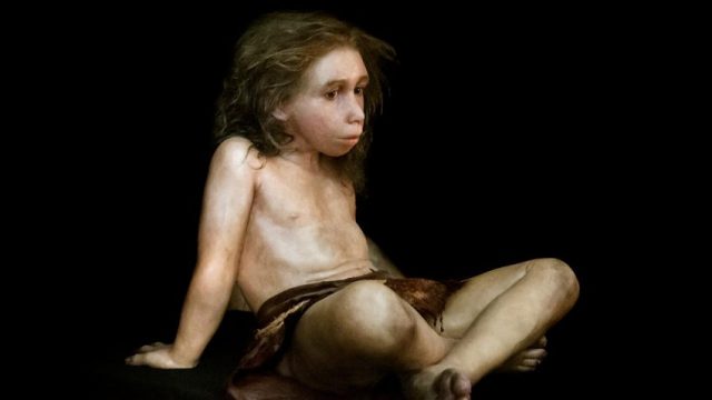 Neanderthal boy