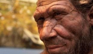 Allergies, heart conditions, depression… Should we really blame our neanderthal grandparents?