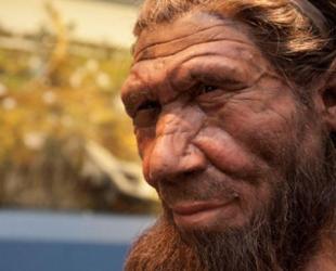 neanderthal