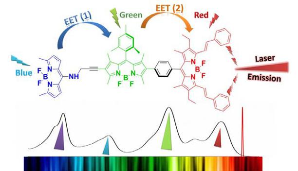 Figure 6. Molecular antenna system: blue, green and red emitting dyes covalently linked to allow a fast and highly efficient energy transfer that ends up in near-infrared laser emitting (Picture taken of Ref [4]).