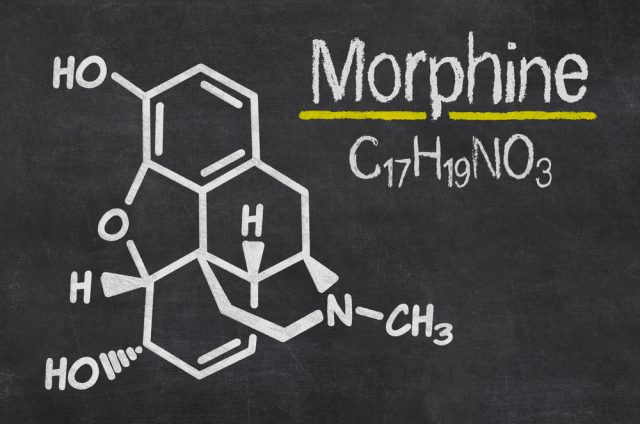 Kratom-vs-Morphine