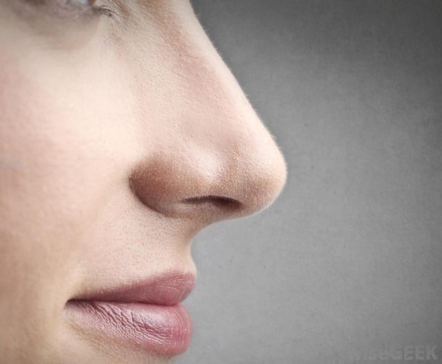 human nose close up