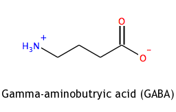 GABA