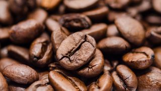 Expresso or Americano? Your genome has the answer