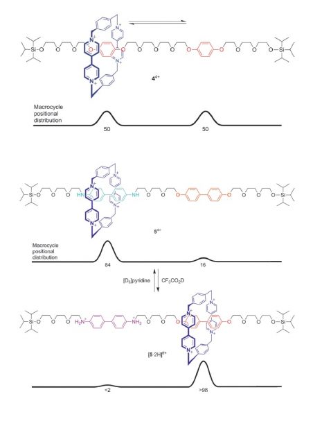 Figure 2. The first “molecular shuttle” (up) and the switchable “molecular shuttle” (middle and down) Credit: E. R. Kay, D. A. Leigh. Angew. Chem. Int. Ed. 2015, 54, 10080 – 10088. DOI: 10.1002/anie.201503375