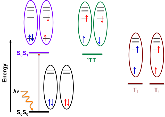 Figure 2. The singlet fission process