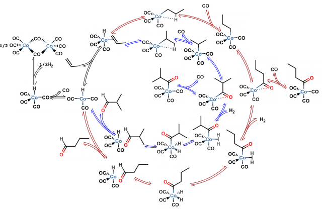 Figure 3. The catalytic cycle of propene hydroformylation reaction indicating some of the elementary steps and pathways leading to two distinct products.