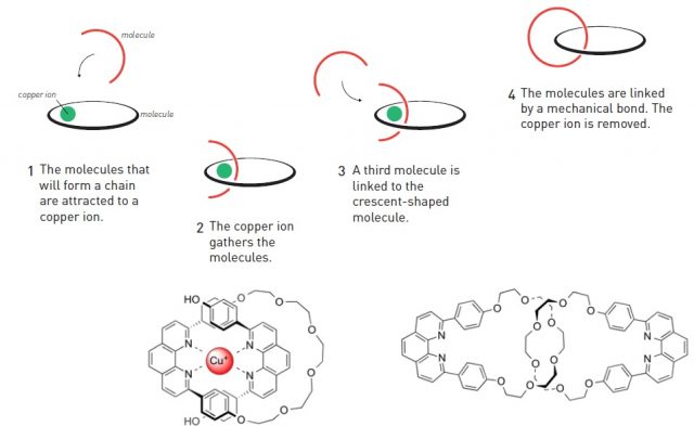 Figure 1. Jean-Pierre Sauvage´s method to form catenanes using copper coordination. Credit: Johan Jarnestad/Olof Ramström. The Royal Swedish Academy of Sciences (2016)