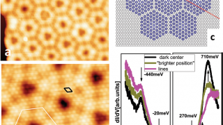 Strains control electronic properties and magnetic ordering in an atomically-thin layer