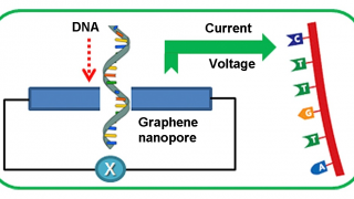 Graphene nanopore DNA sequencing