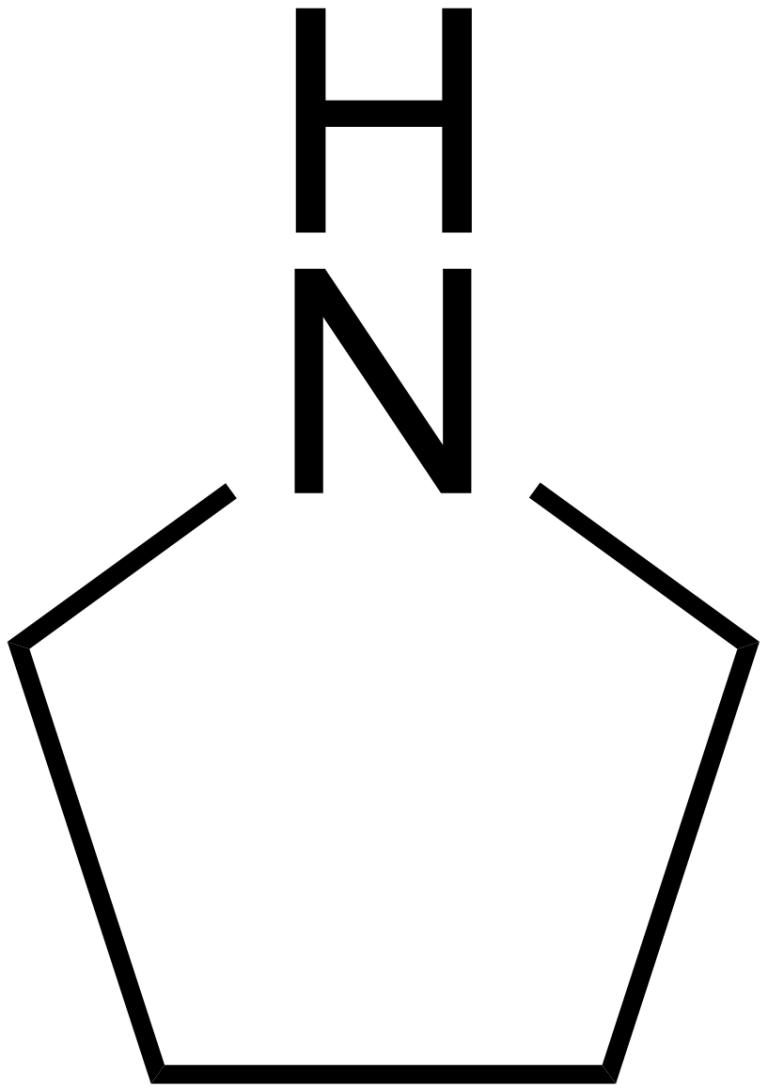 A New Path To Enantioselective Substituted Pyrrolidines - Mapping Ignorance