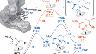A new path to enantioselective substituted pyrrolidines