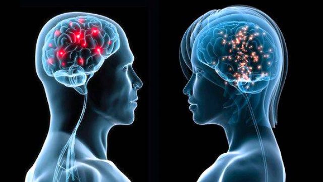 Sexual differences in the human brain