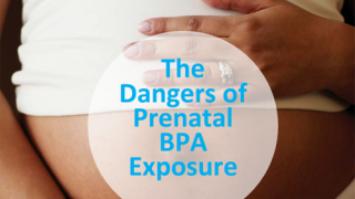 BPA and pregnancy: diabetes for you and your kids