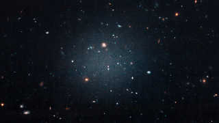 Galaxies with no dark matter?