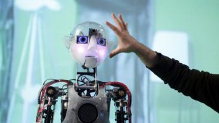 The Rise of Quantum Robots