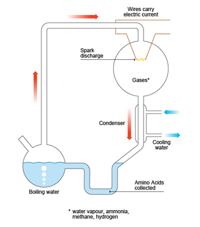 Early research on the origin of life. The Miller experiment. - Mapping ...