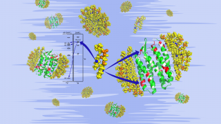 A generalized approach for NMR studies of lipid–protein interactions