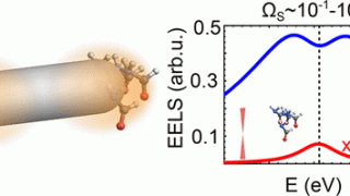 Surface-Enhanced Molecular Electron Energy Loss Spectroscopy
