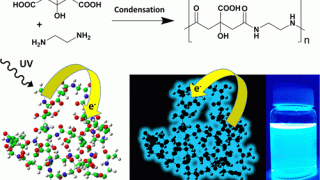 Origin of the mysterious blue fluorescence of polymer carbon dots