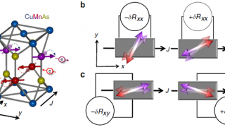 Detection of the reversal of magnetic moments in an antiferromagnet