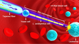 Bionanospear, a living nanoprobe with subwavelength resolution