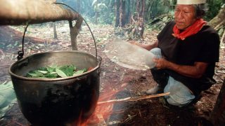 Ayahuasca in the treatment of depression