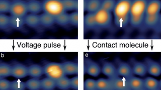 Spin in a closed-shell organic molecule stabilized on a metallic surface