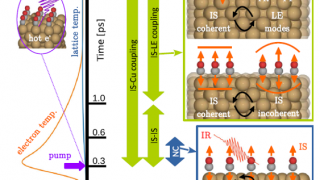 The ultrafast dynamics of adsorbates deciphered