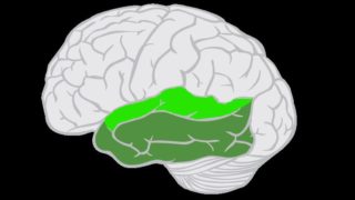 Singin’ in the Brain: why brain tumour patients are singing on the operating table