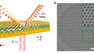 Towards advanced room-temperature valleytronic nanodevices.