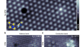 How to identify a point defect in 2D transition metal dichalcogenides