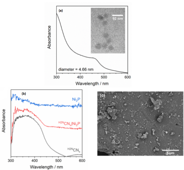 Irradiating food waste for energy production Mapping Ignorance