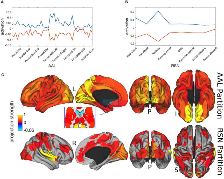 The metaestable resting state dynamics of the brain - Mapping Ignorance