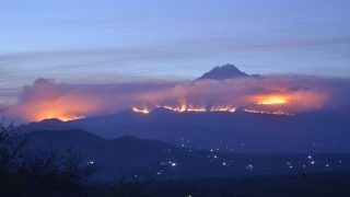 Fires shaped Mount Kilimanjaro’s unique environment. Now they threaten it