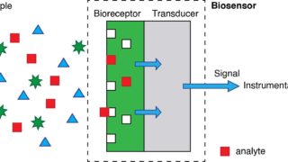 Electrochromic materials enable smarter biosensors