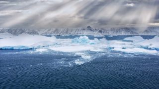 An ocean like no other: the Southern Ocean’s ecological richness and significance for global climate