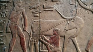 Environmental change may have played a role at the dawn of Egyptian history